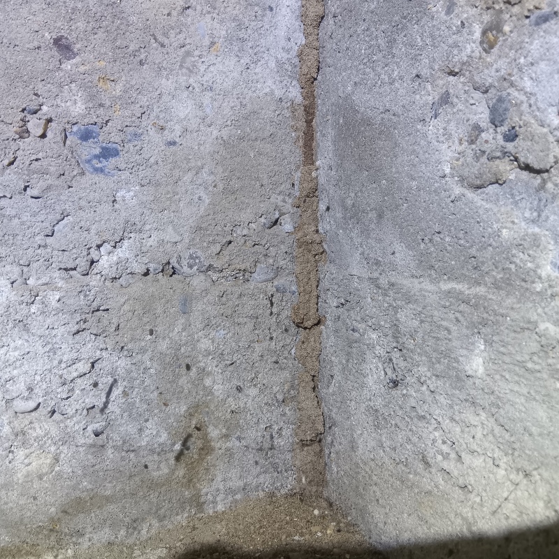 床下基礎にある蟻道