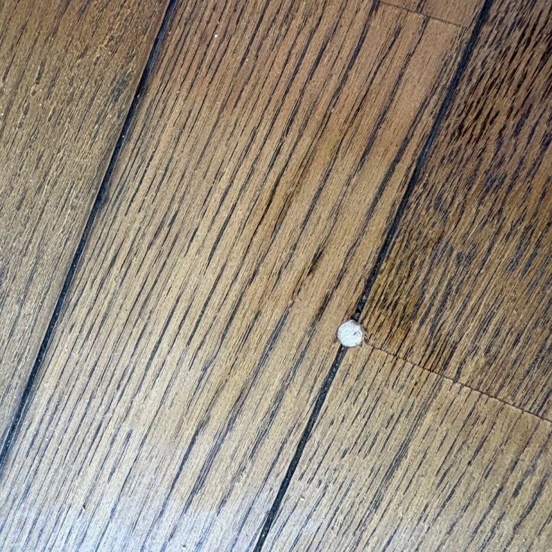 開けた穴をパテで補修