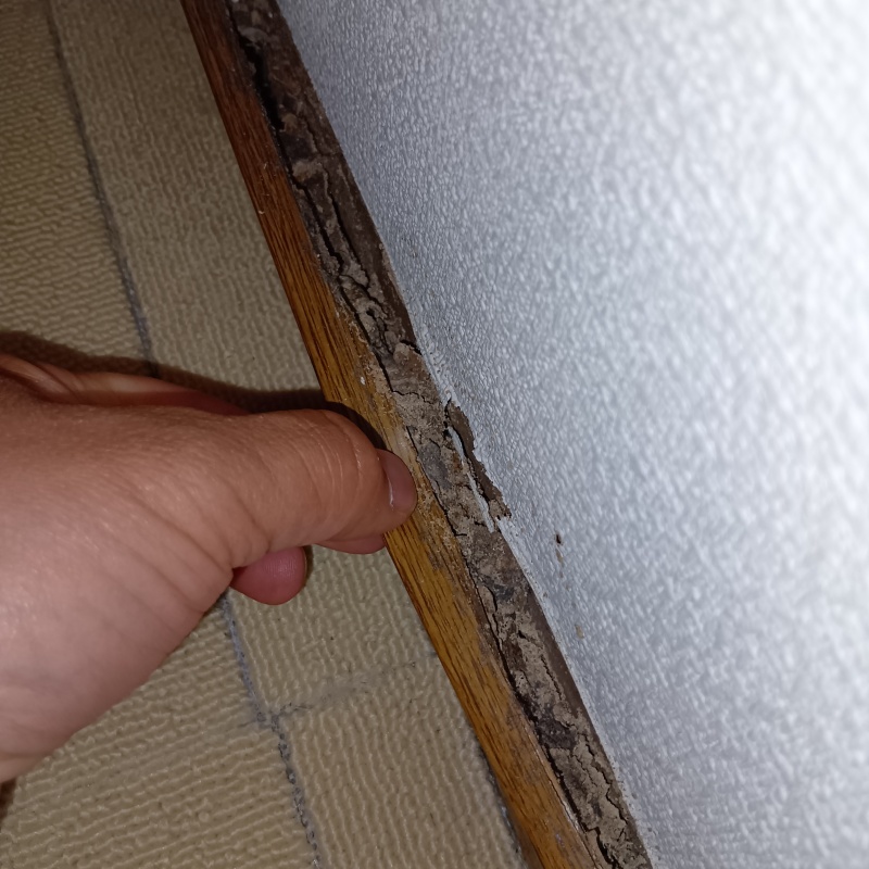 傷んだ壁の木材