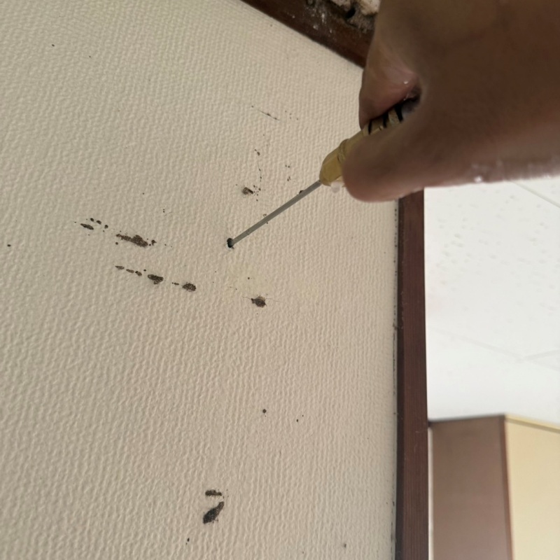 壁にシロアリ駆除剤を注入