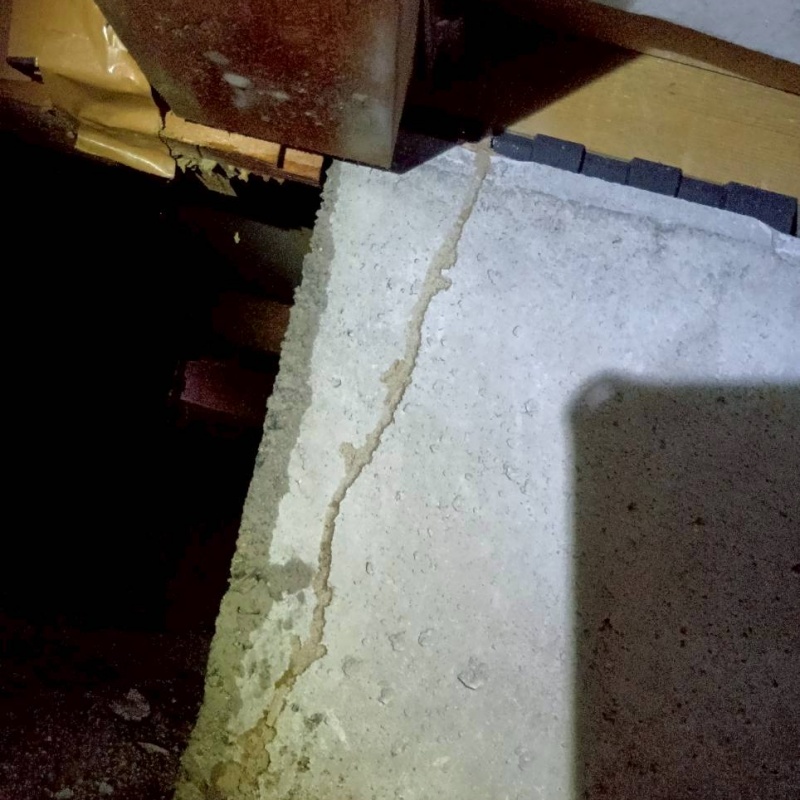 床下の基礎に作られたシロアリの蟻道