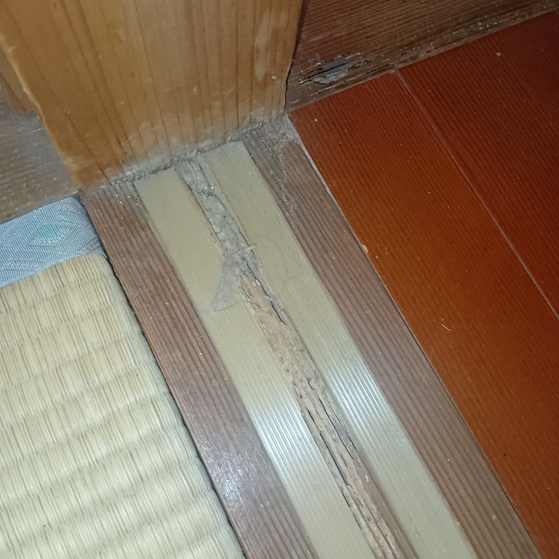 食害されている和室の敷居