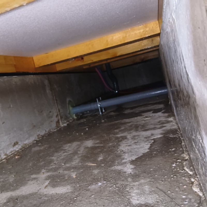床下全体にシロアリ駆除剤を散布