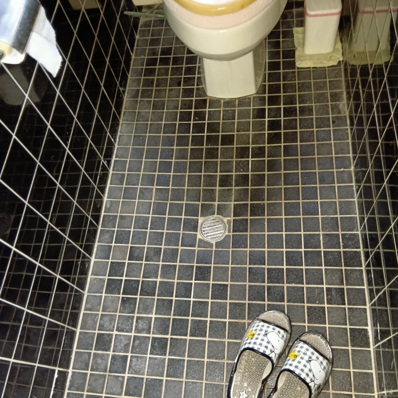タイル張りのトイレの様子