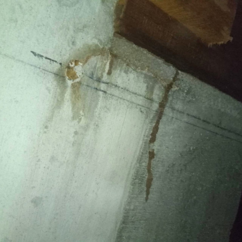 床下基礎に蟻道がある様子