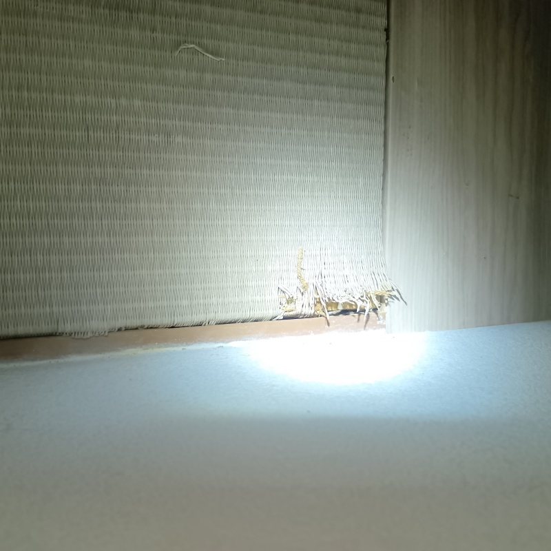 ささくれ立った畳