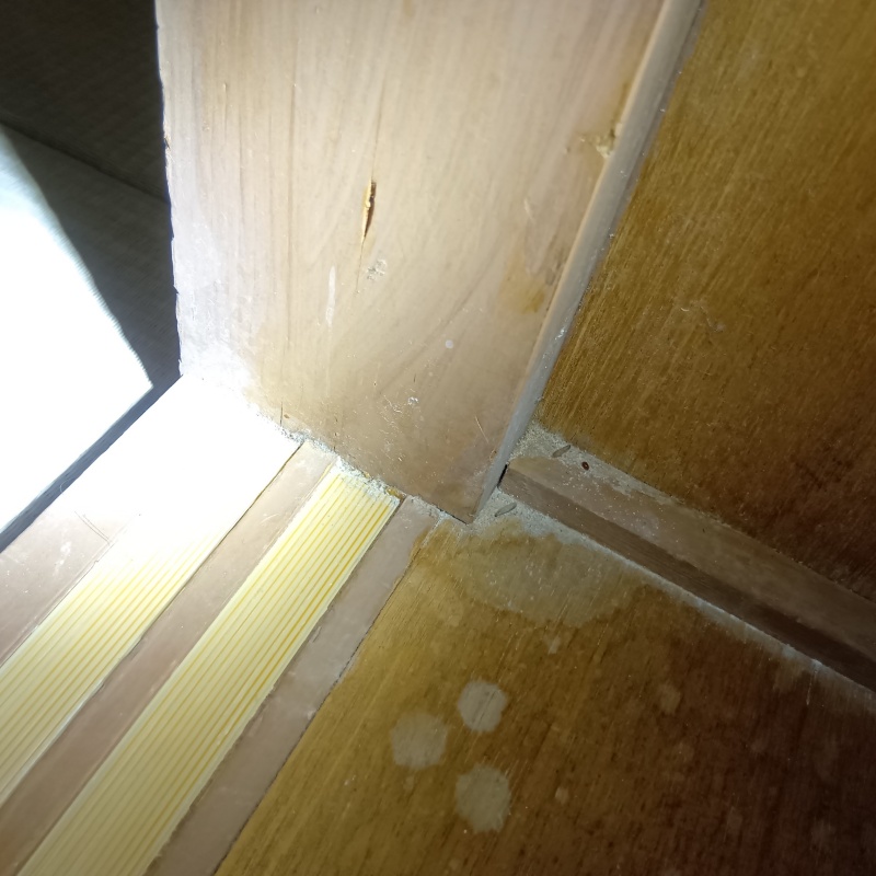 白くなっている和室の敷居部分