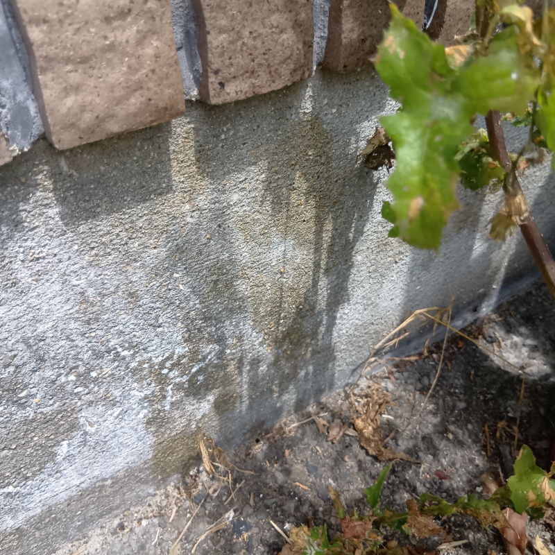 水染みの跡が見られる基礎コンクリート