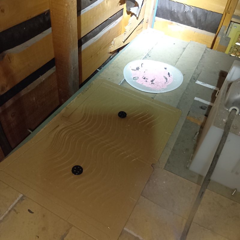 粘着シートと殺鼠剤を設置
