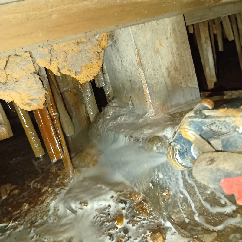 福岡県北九州市戸畑区小芝でヤマトシロアリ発生！トイレに食害を受けた築80年戸建ての駆除事例