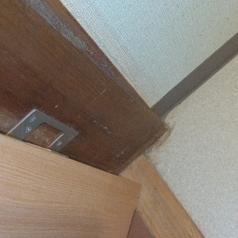 トイレの柱に見られた食害跡