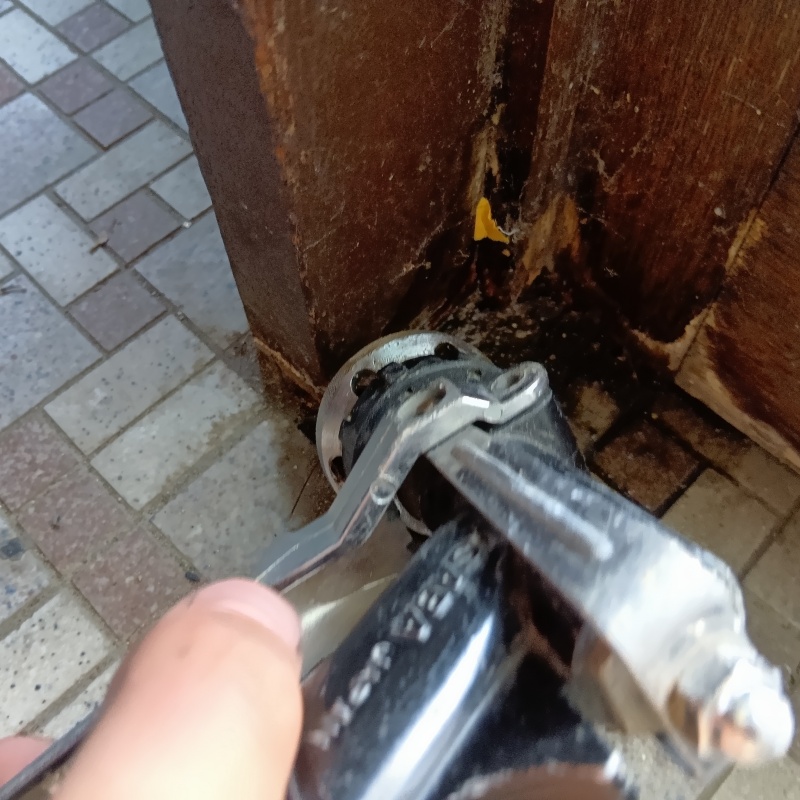 傷んだ木部にシロアリ駆除剤を注入
