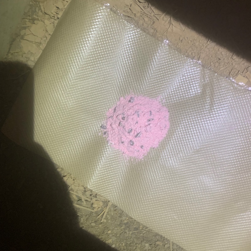 殺鼠剤を設置