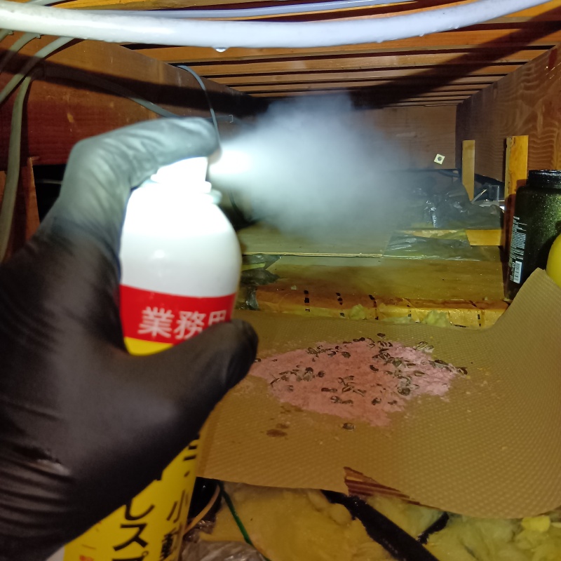 天井裏に忌避剤を散布