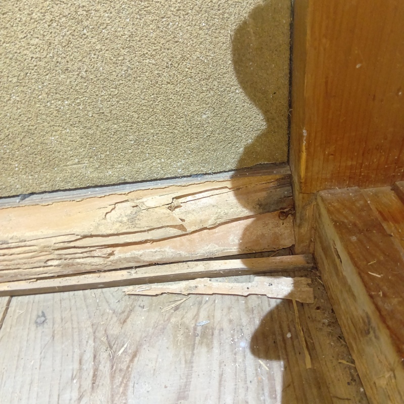 和室の壁が傷んでいる様子