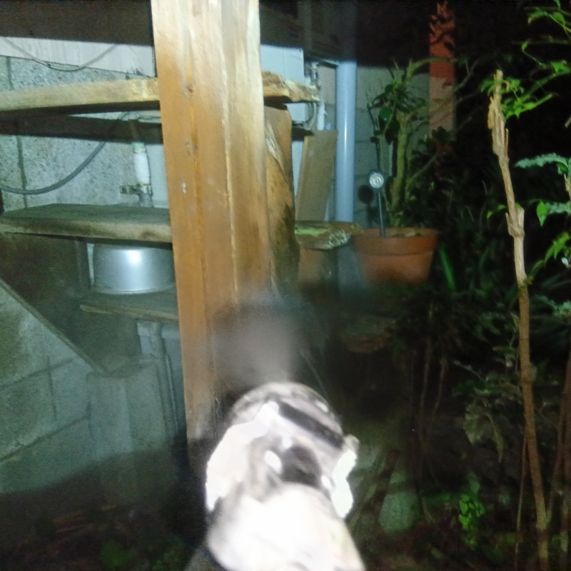 木の柱にシロアリ駆除剤を散布