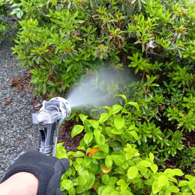 庭木にシロアリ駆除剤を散布