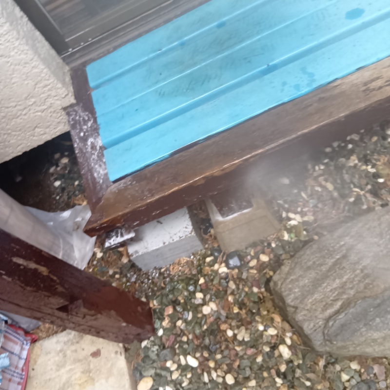 建物まわりにシロアリ駆除剤を散布