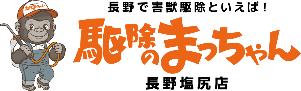 画像引用_駆除のまっちゃん