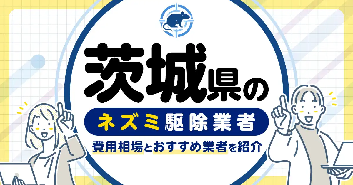 茨城県のネズミ駆除・対策業者比較9選！選び方や再発予防策も紹介
