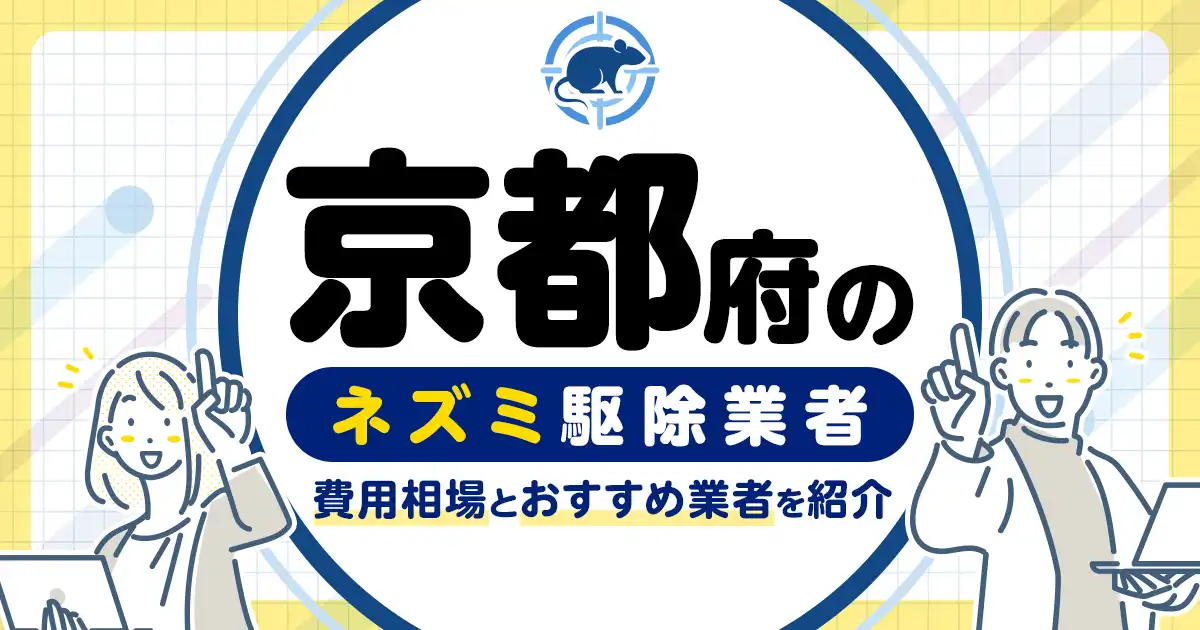 京都府のネズミ駆除・対策業者比較8選！選び方や再発予防策も紹介