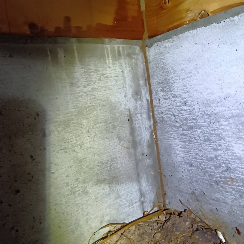 床下で蟻道を確認