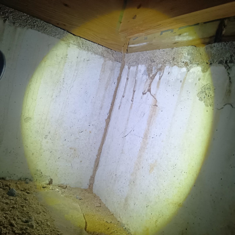 床下基礎に蟻道を確認