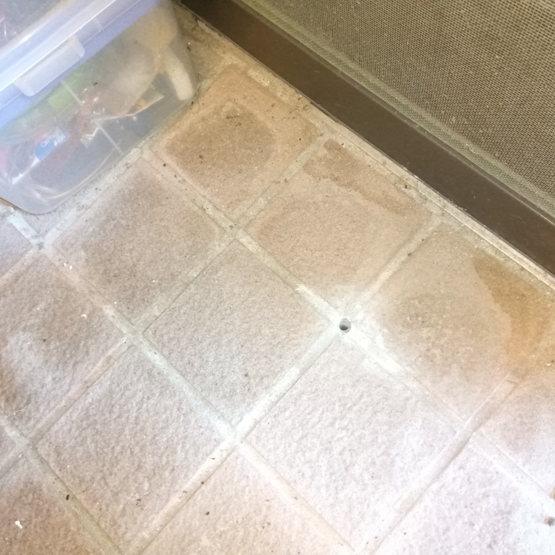 玄関の床に小さな穴を開ける