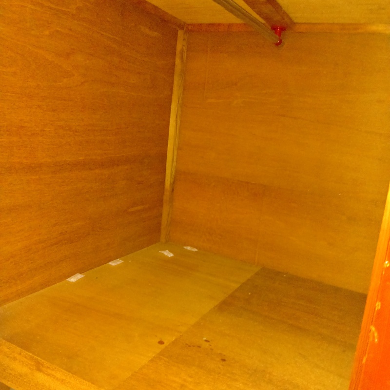 福井県福井市栃泉町でハクビシン発生！戸建ての屋根の上で姿が目撃された事例