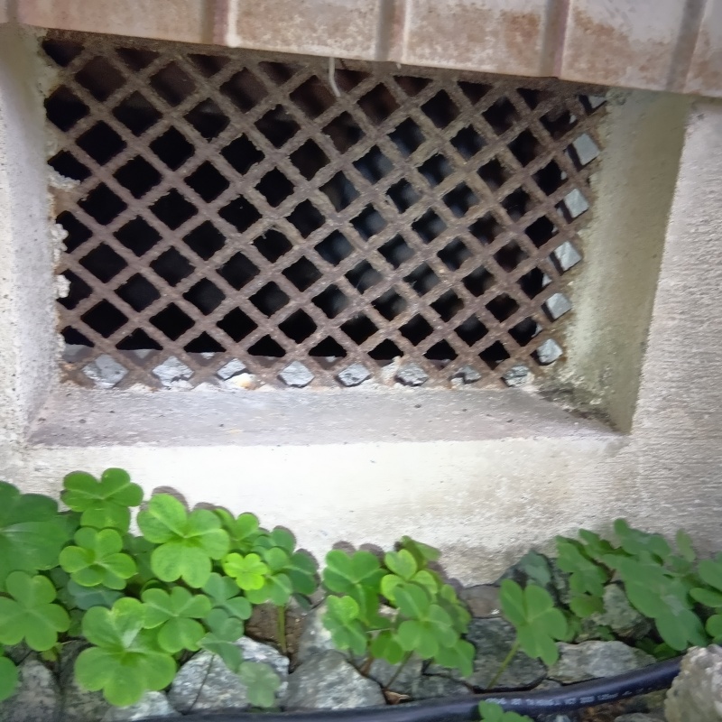 侵入口になりそうな床下通気口