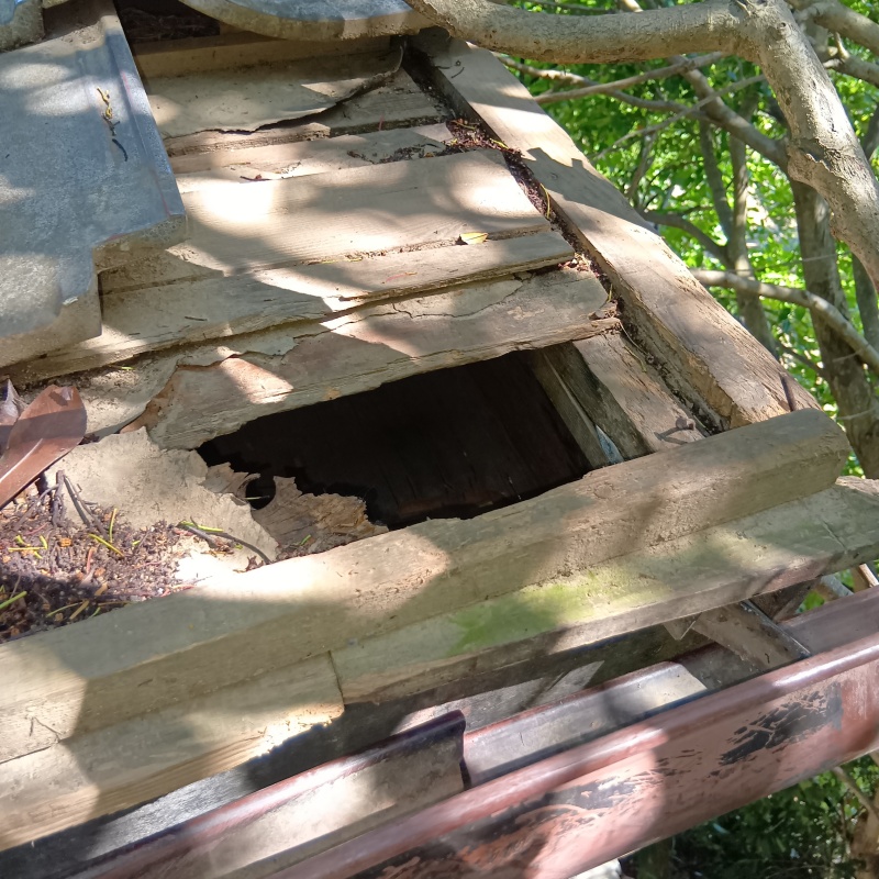 千葉県野田市木間ケ瀬でネズミ駆除！戸建ての天井裏から不穏な物音がした事例