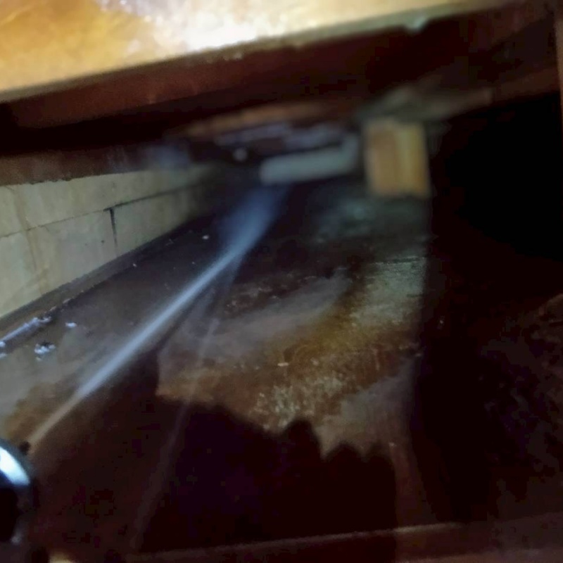 床下の地面にシロアリ駆除剤を散布