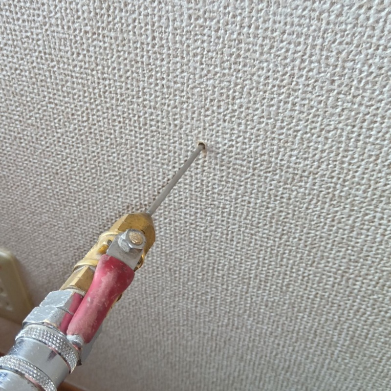 築年数50年のシロアリ駆除の施工事例（東京都板橋区東新町）