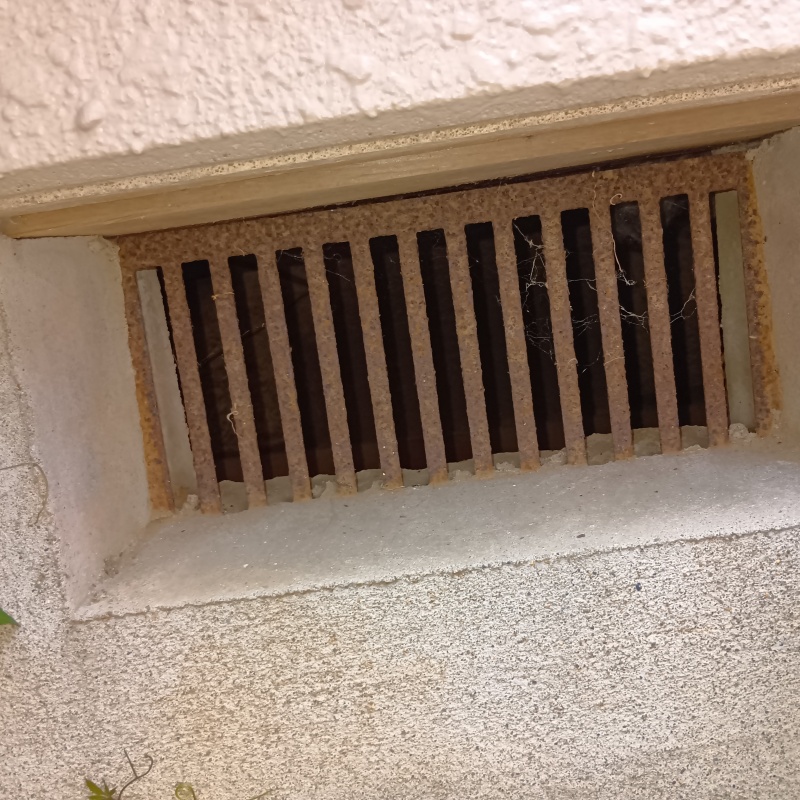 千葉県松戸市高塚新田でネズミ駆除!戸建ての和室にフンが散らばっていた事例