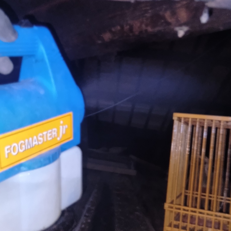 噴霧器で除菌・消臭剤を散布