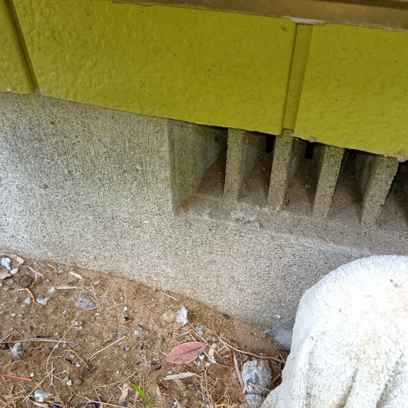 侵入口になりそうな床下通気口