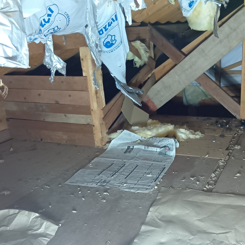 長崎県平戸市獅子町でイタチとネズミ駆除!戸建ての床下換気口が侵入経路になっていた事例