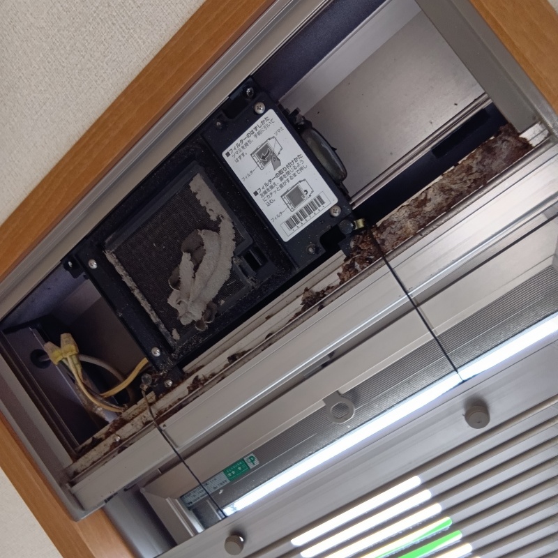 換気口を開けると大量のフン害