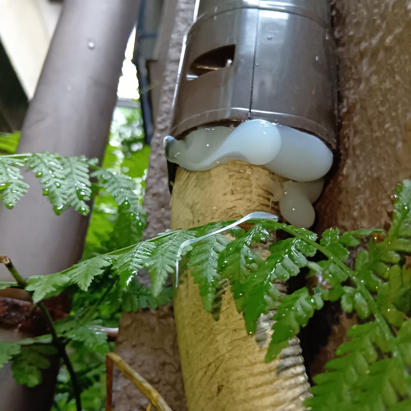 配管導入部のすき間を封鎖