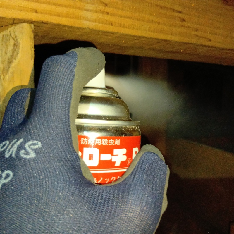 天井裏に殺虫剤を散布