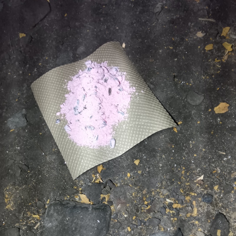 殺鼠剤を設置
