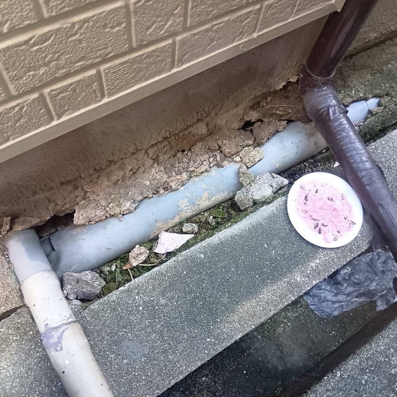 大阪府大阪市西成区橘の戸建てで駆除施工！長屋の居室にネズミが出没した事例
