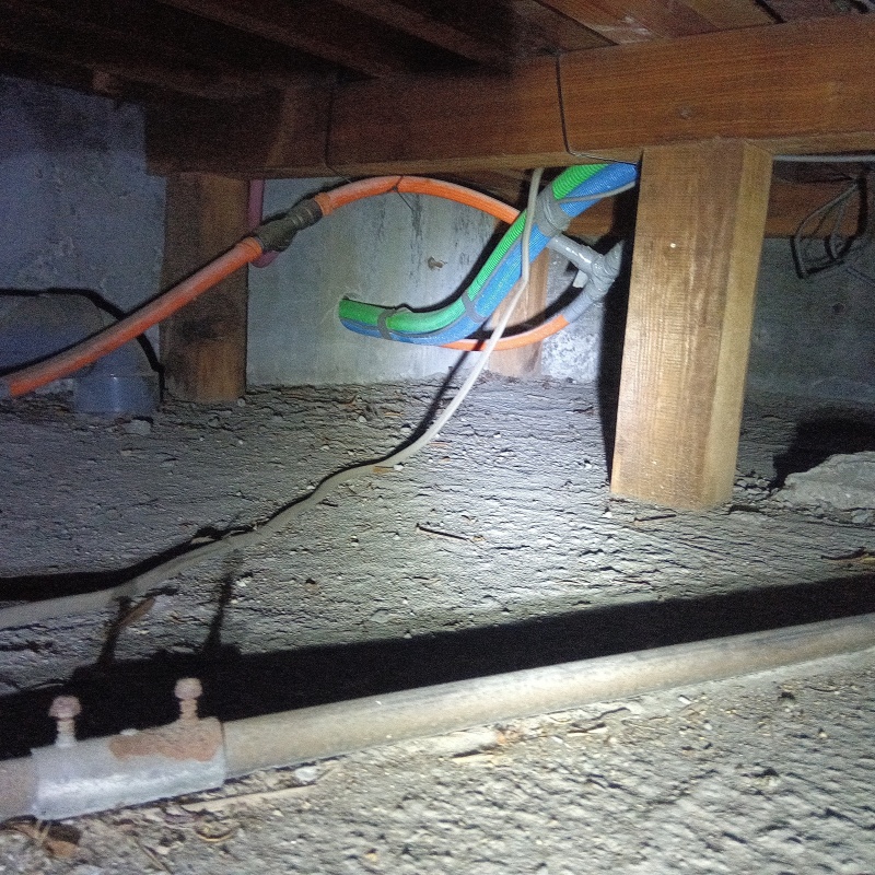 愛知県津島市莪原町字西屋敷で駆除施工!戸建てのキッチンにネズミが出た事例