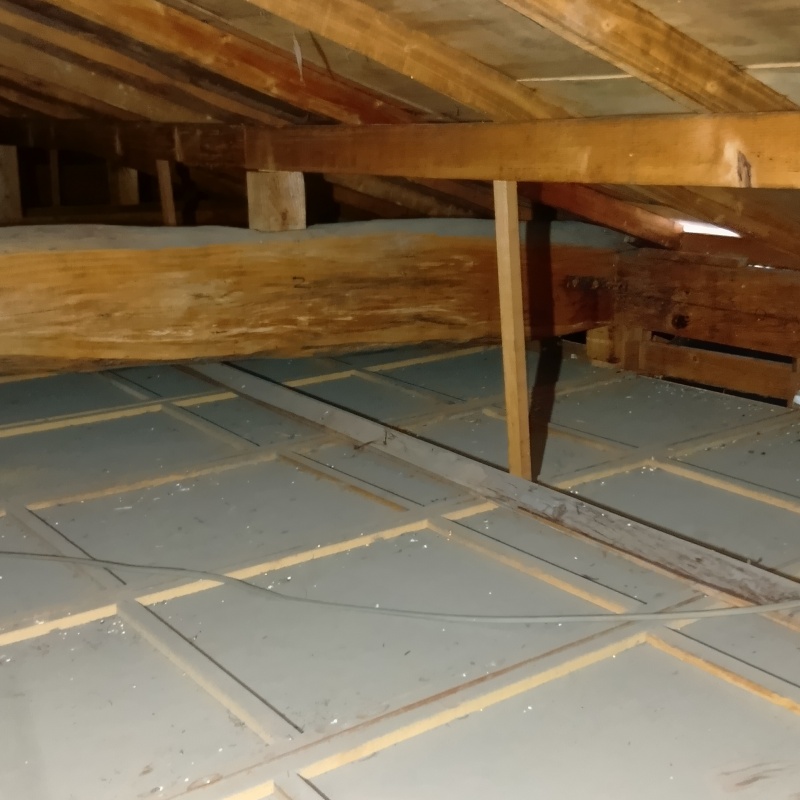 大きな被害のなかった屋根裏