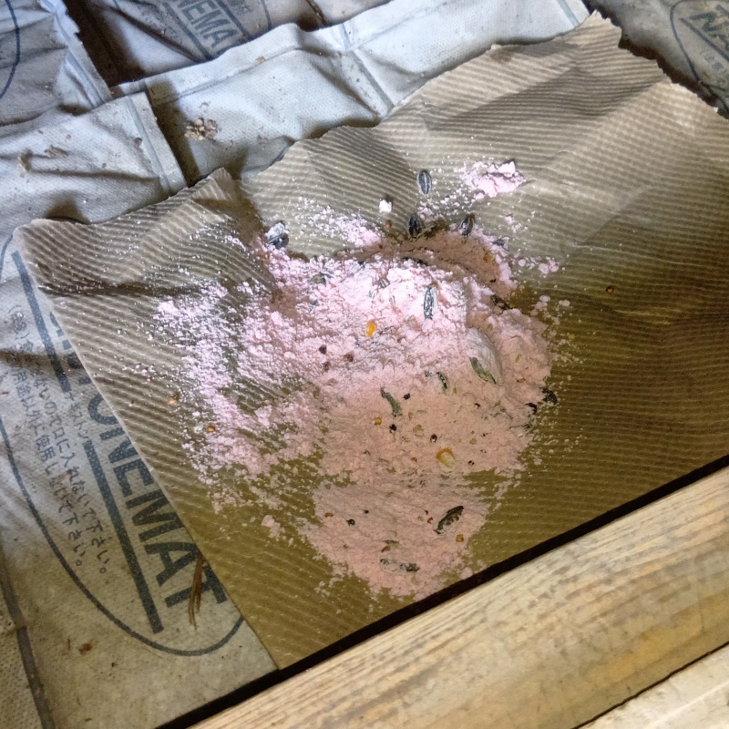 殺鼠剤が食べられた後