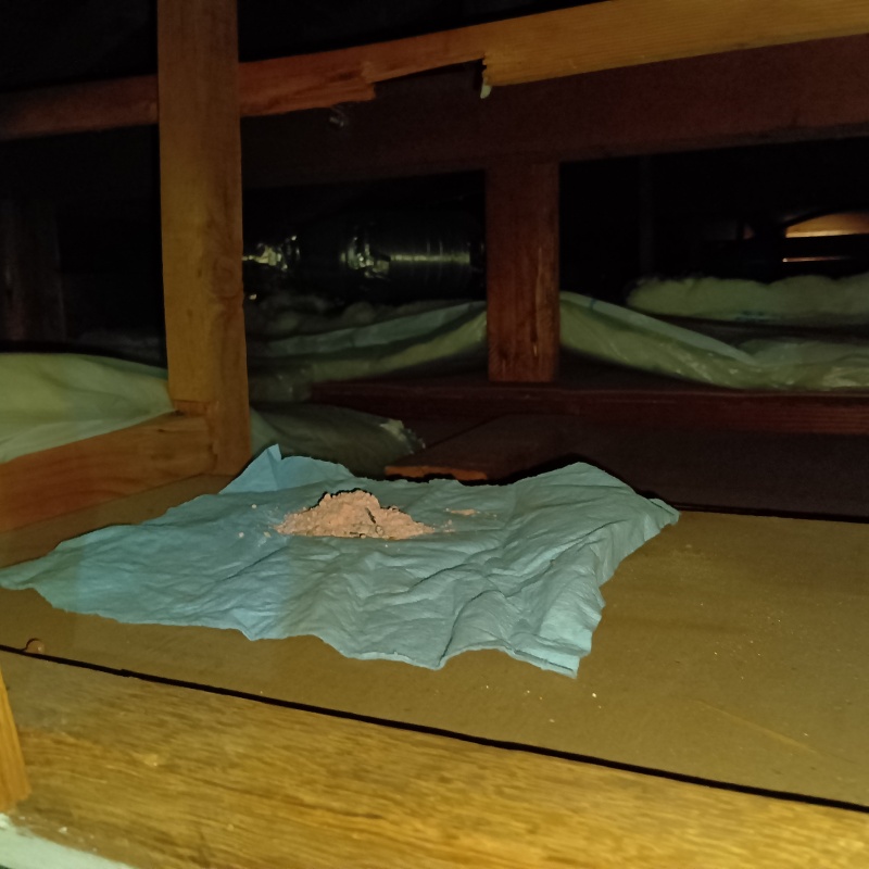 屋根裏に殺鼠剤を設置