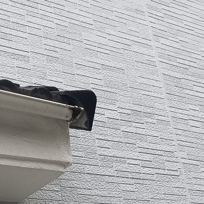 雨どいにフン汚れを発見