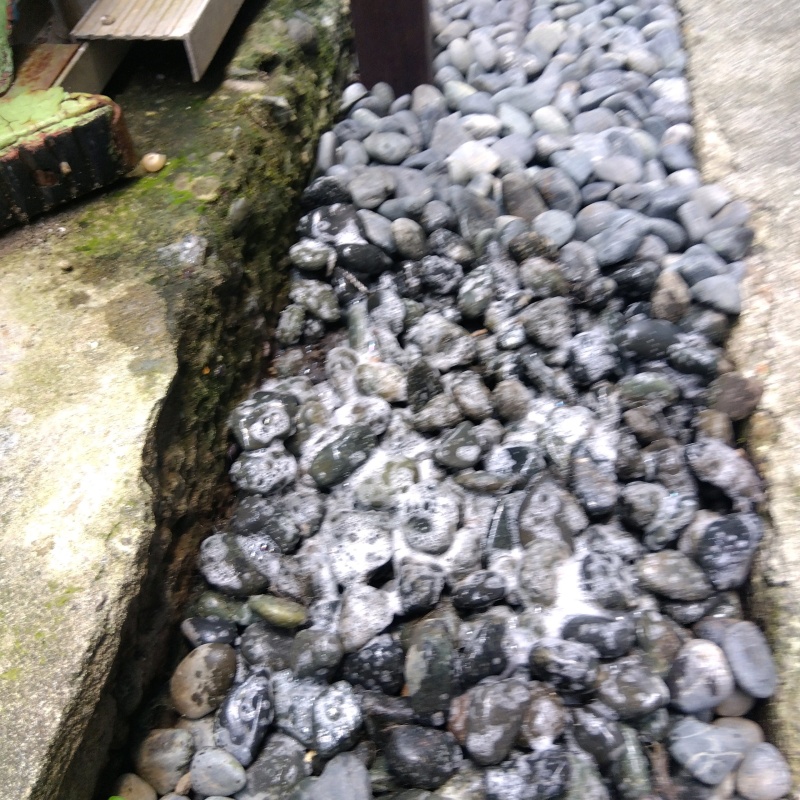 死骸を回収したあと