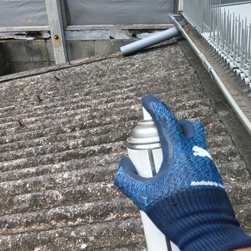 アライグマ駆除の施工事例（大阪府大阪市東淀川区）