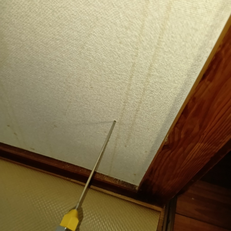 室内の壁にシロアリ剤を注入
